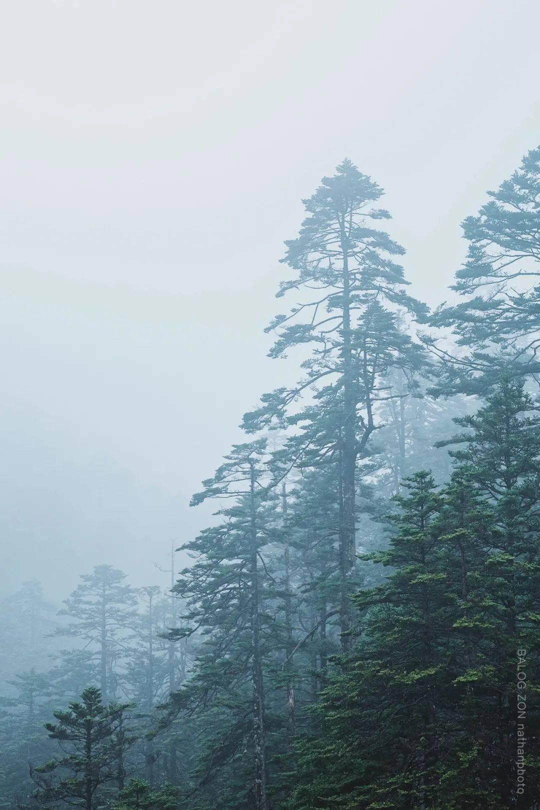 造物法则