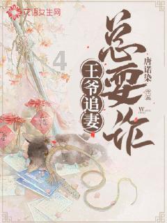 疯狂的小偷